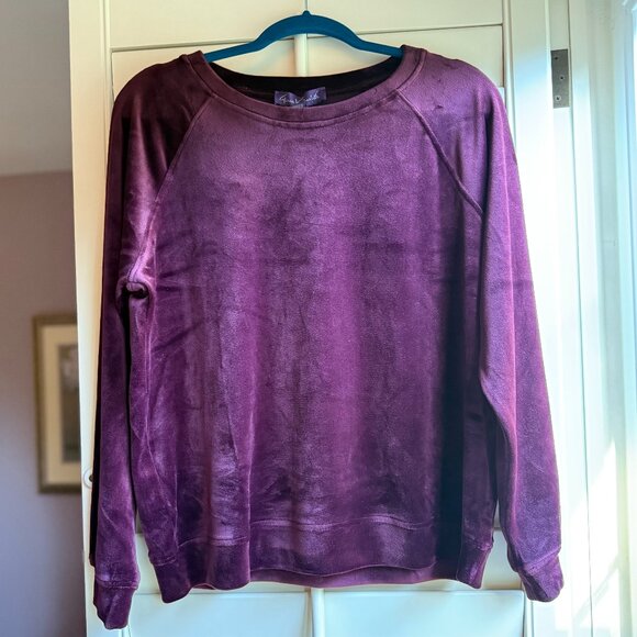 NWT Gloria Vanderbilt Velour Pullover, Women's Medium - Picture 1 of 5